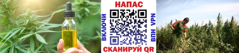 Cannafood марихуана цены Волжск
