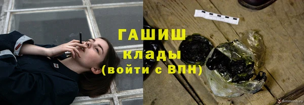 шишки Богородск