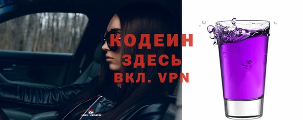 шишки Богородск