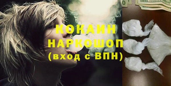 шишки Богородск