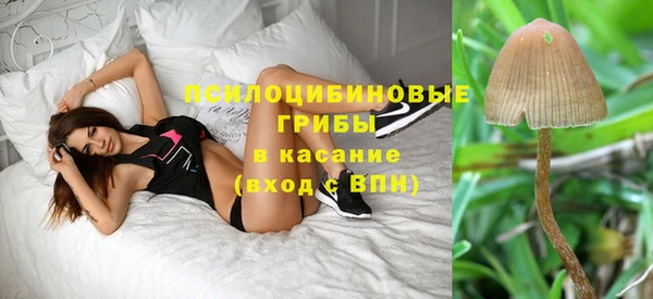 шишки Богородск