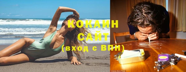 шишки Богородск