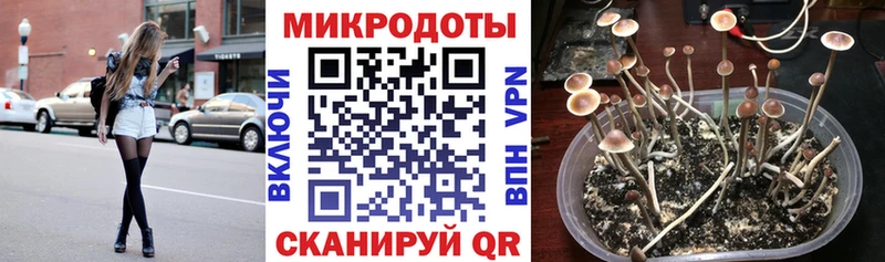 OMG зеркало Волжск Галлюциногенные грибы мицелий