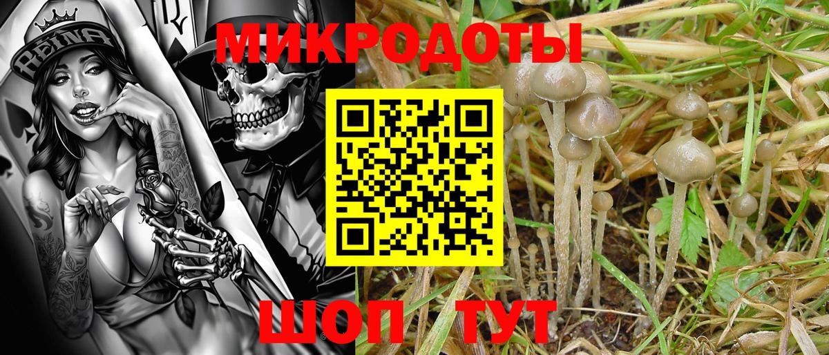 Псилоцибиновые грибы Psilocybe  Вход с VPN  Галлюциногенные грибы Magic Shrooms  Волжск 