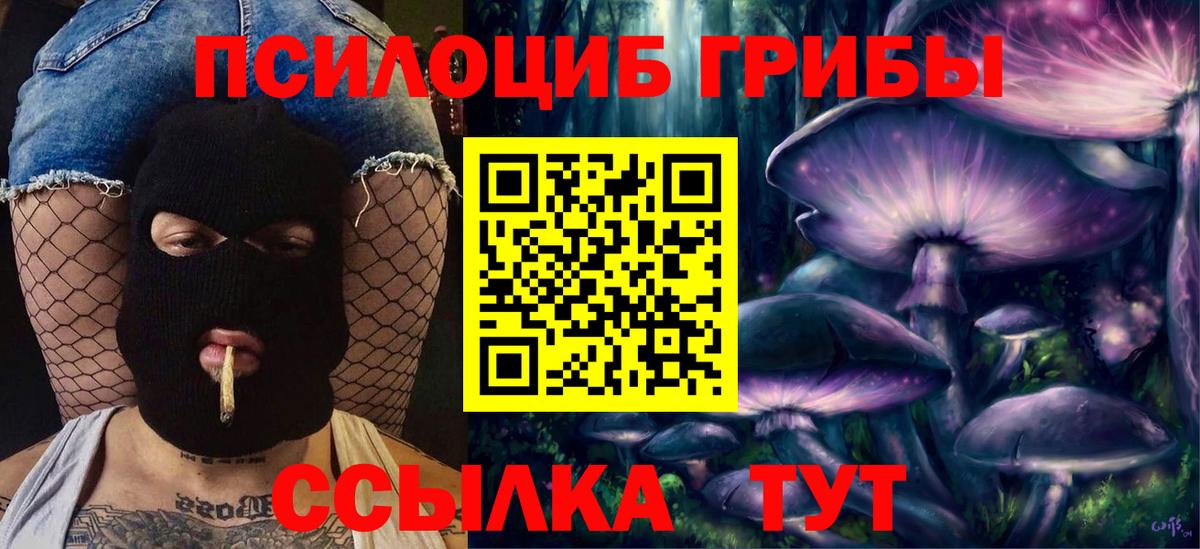 Псилоцибиновые грибы Magic Shrooms Волжск